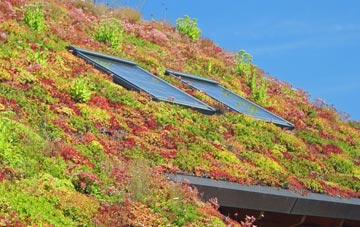 Aghalee living roof systems