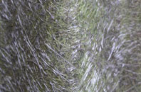 Aghalee fibreglass roof work